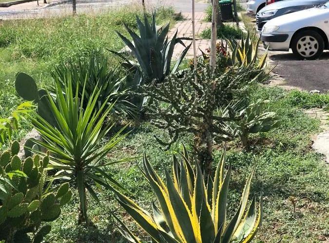 Splendido Loft Al Mare