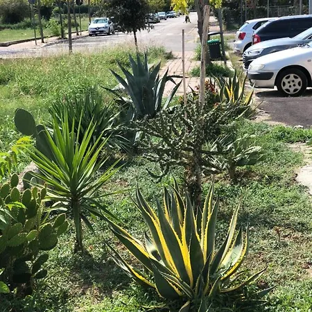 Splendido Loft Al Mare