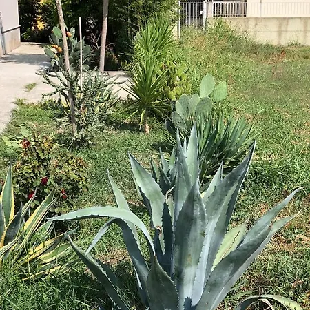 別荘 Splendido Loft Al Mare