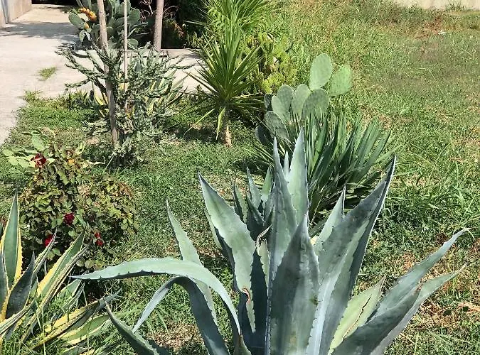 Дом отдыха Splendido Loft Al Mare